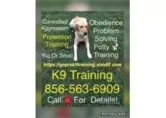 K9 trailer for hire