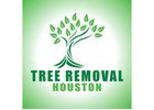 Tree Removal Houston