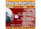 You can earn $100-$300 per day simply by posting ads on the websites we show you!